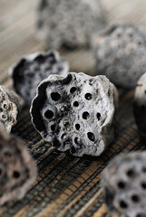 Close-up of dried pods