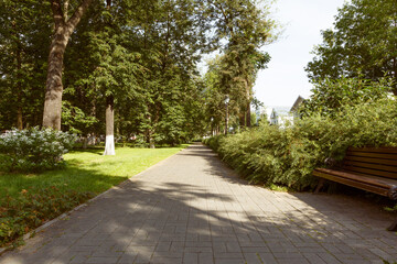 Alley in the old city park. The benches are shifted from the path to the bushes.