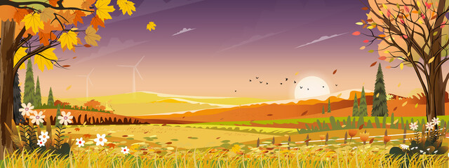 Autumn landscapes of Countryside with sunset and purple sky,Panoramic of mid autumn with farm field, mountains, wild grass and leaves falling from trees in orange foliage. Wonderland in fall season © Anchalee