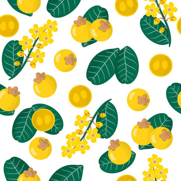 Vector cartoon seamless pattern with Byrsonima crassifolia or nance exotic fruits, flowers and leafs on white background
