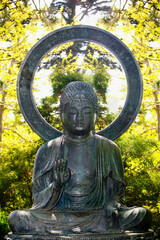 Statue of Buddha in a park, Japanese Tea Garden, Golden Gate Park, San Francisco, California, USA