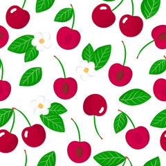 Vector cartoon seamless pattern with Prunus avium or Cherries exotic fruits, flowers and leafs on white background