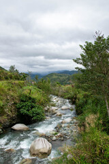 Fototapeta na wymiar Mountain river with fresh water in the mountains in the Philippines, Asia