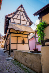 Dans le village de Eguisheim