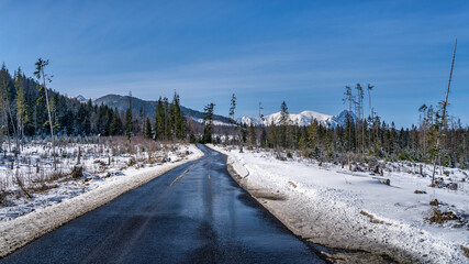 Black asphalt road surrounded by snow and forest leading to the snow capped Tatra Mountains range in winter, Bukowina Tatrzanska, Poland