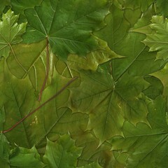 Seamless square pattern with isolated green grass