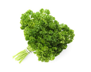 Fototapeta premium Bunch of fresh curly parsley on white background