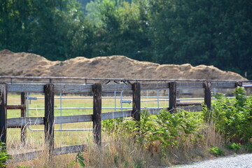 Hirondelles © JAN KASZUBA