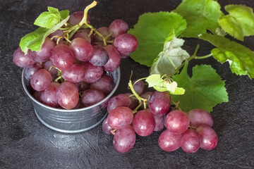grapes and vines on a dark background close-up. background with pink grapes.
