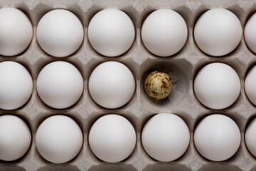 High angle view of an egg carton