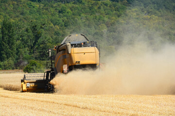 Obraz premium Moisson