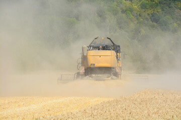 Obraz premium Moisson