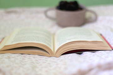 Bowl of grapes and open book on a bed. Selective focus.