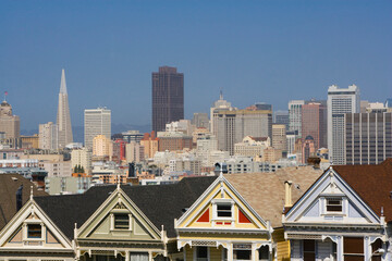 Victorian style houses in a city, Alamo Square, Painted Ladies, San Francisco, California, USA