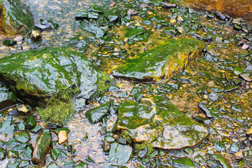 A beautiful mountain river. Top view. Background. Texture.