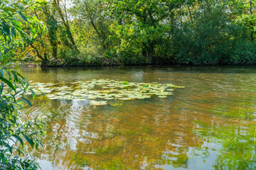 Connaught Water lake