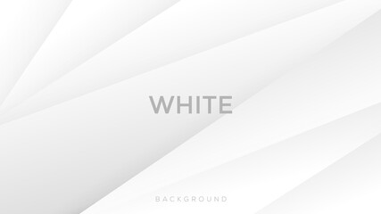 Premium colorful backgorund with gradient color. Vector abstract background. Eps10