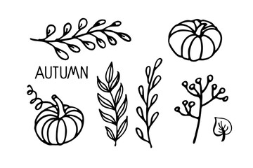 Autumn plants vector set. Linear black and white doodle sketch. Pumpkins, leaves, branches, berries.Hand drawn design elements. For banner, flyer, brochure, card, poster. Autumn nature illustration