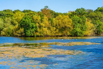 Connaught Water lake