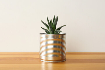 Houseplant in tin can on wooden table, closeup