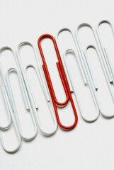 Close-up of a red paper clip in a row of white paper clips