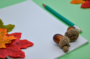 Notebook with a pencil, autumn leaves and acorns on pale blue background. Autumn still life with stationery. Place of work of writer, keeping personal diary. 