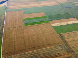The field is sown with different crops by geometric shapes, areas of agricultural fields.