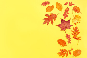 Pattern of autumn colorful leaves, yellow leaves, yellow background, lay flat, the top view
