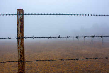 A wired fencing closeup on foggy background.