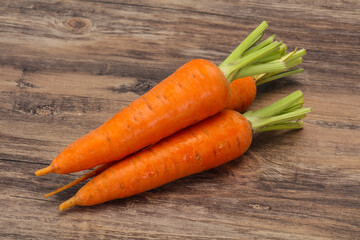 Three Young fresh ripe carrot