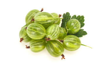Fresh ripe green sweet gooseberry