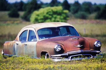 Fototapeta premium Close-up of an old car in a field 
