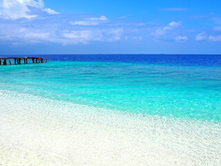 Fototapeta na wymiar Beautiful palm trees and tropical beach, blue sky and blue lagoon. Luxury travel summer holiday destination. Maldives, Thoddoo island