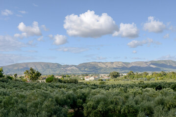 Fototapeta na wymiar landscape with oliva gardens, mountains and sky with clouds