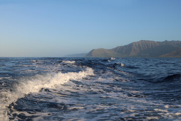 Natural Ocean Sea Mist