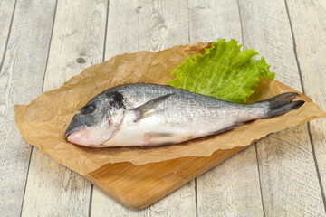 Raw Dorada fish  for cooking