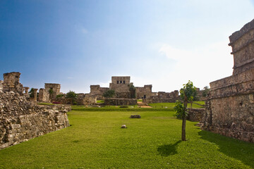 Old ruins of a castle in a grassy field, Zona Arqueologica De Tulum, Cancun, Quintana Roo, Mexico