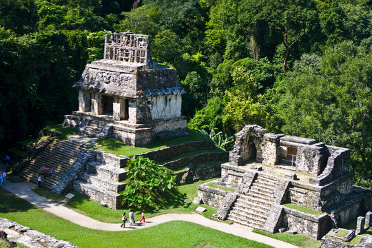 High angle view of tourists at old ruins of a temple, Templo Del Sol, Palenque, Chiapas, Mexico