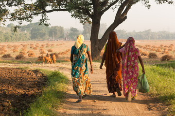 Indian woman workers walking in the field on morning. © njbfoto