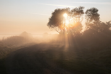 Feldweg mit Sonnenstrahlen im Nebel