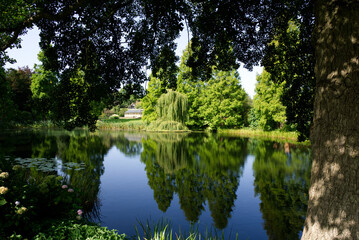 Green trees reflection in a blue pool landscape