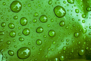 Beautiful water drops on the leaf of lotus