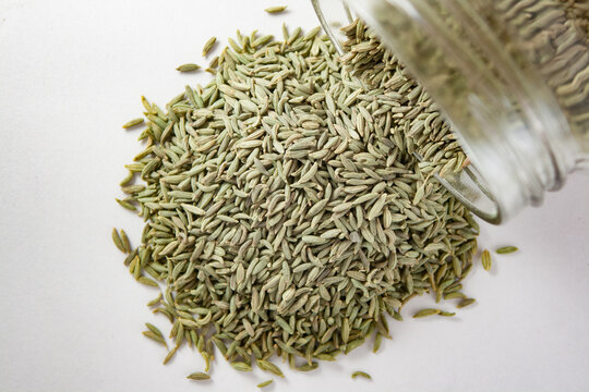 Cumin seeds isolated