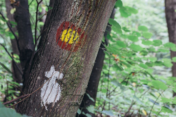 walking sign on trees in forest