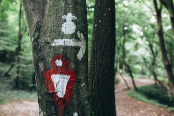 walking sign on trees in forest