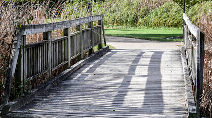 Fototapeta na wymiar boardwalk footbridge through the forest trail