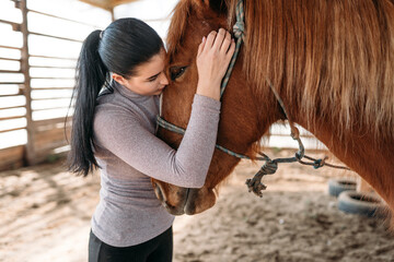 
young woman calms her brown horse, animal support