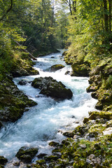 Rapids of the river Radovna in Bled Vintgar
