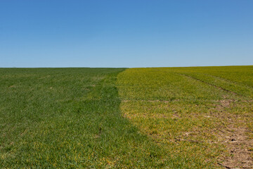 Himmel, Feld, grün, blau, geteilt