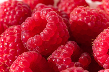 Red ripe raspberries illuminated by sunlight, close-up.